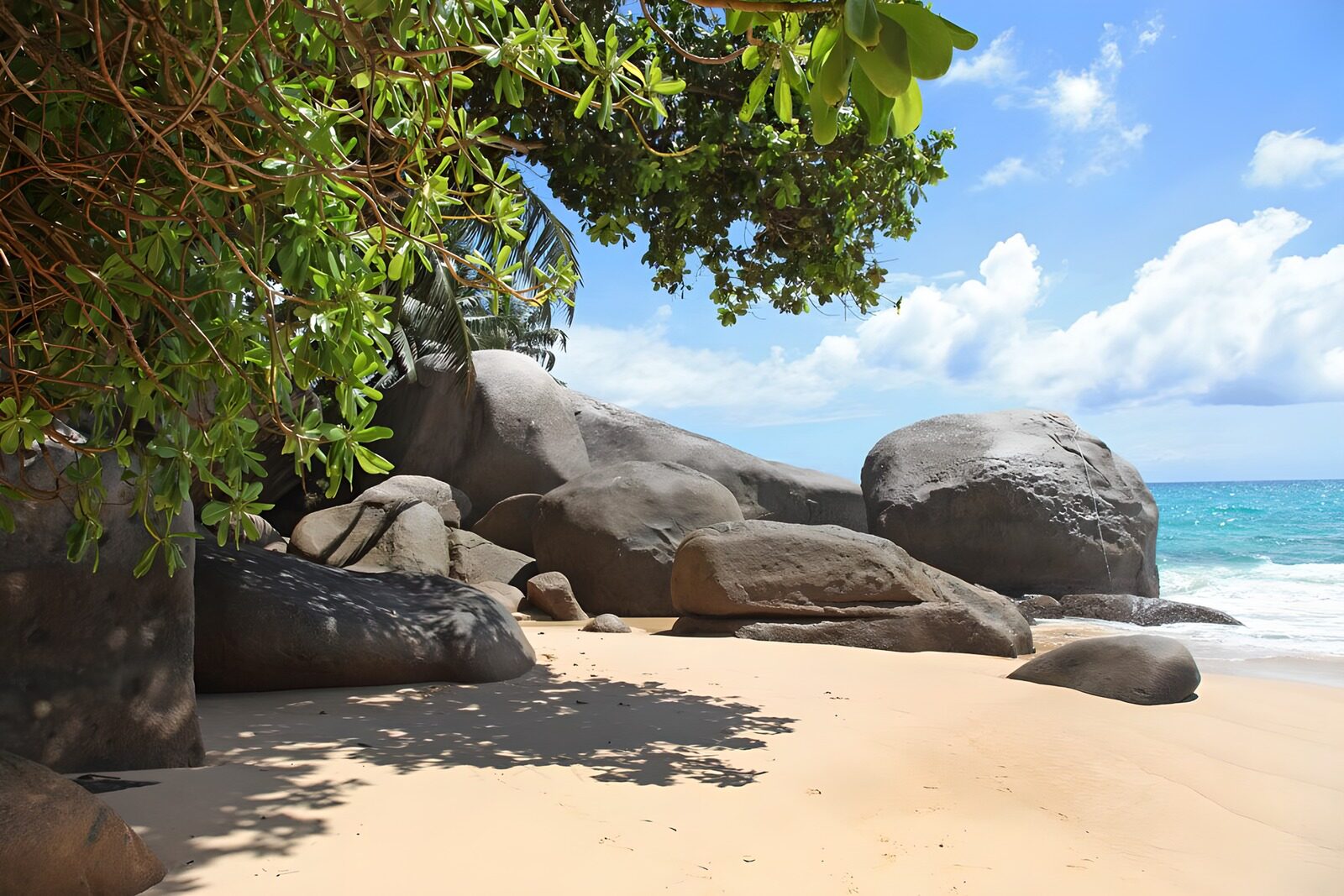 Serene Coastal Retreat