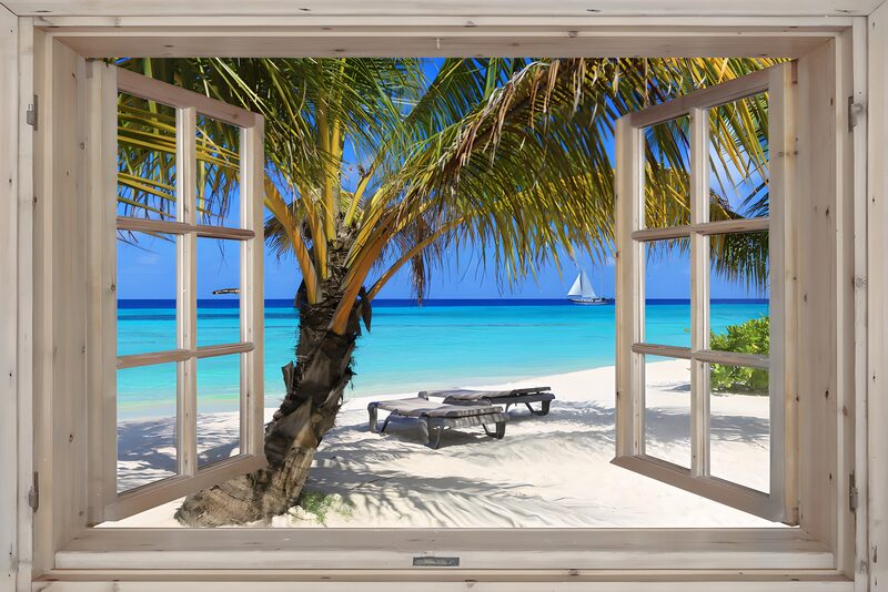 Tropical Paradise Through a Window