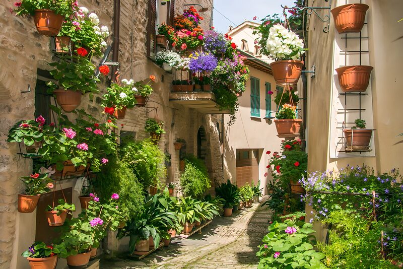 Flower-Bedecked Alleyway