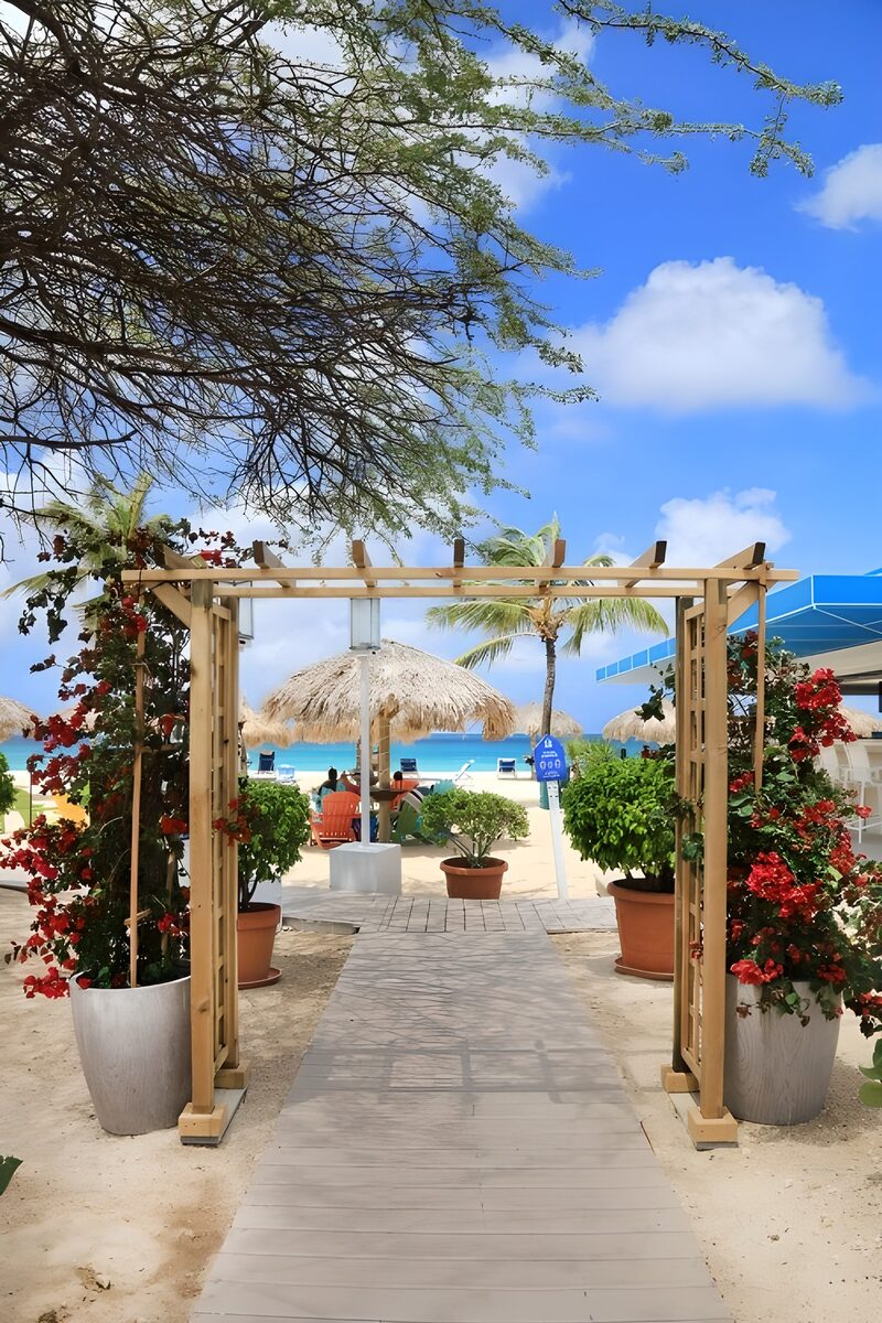 Tropical Pathway to Paradise