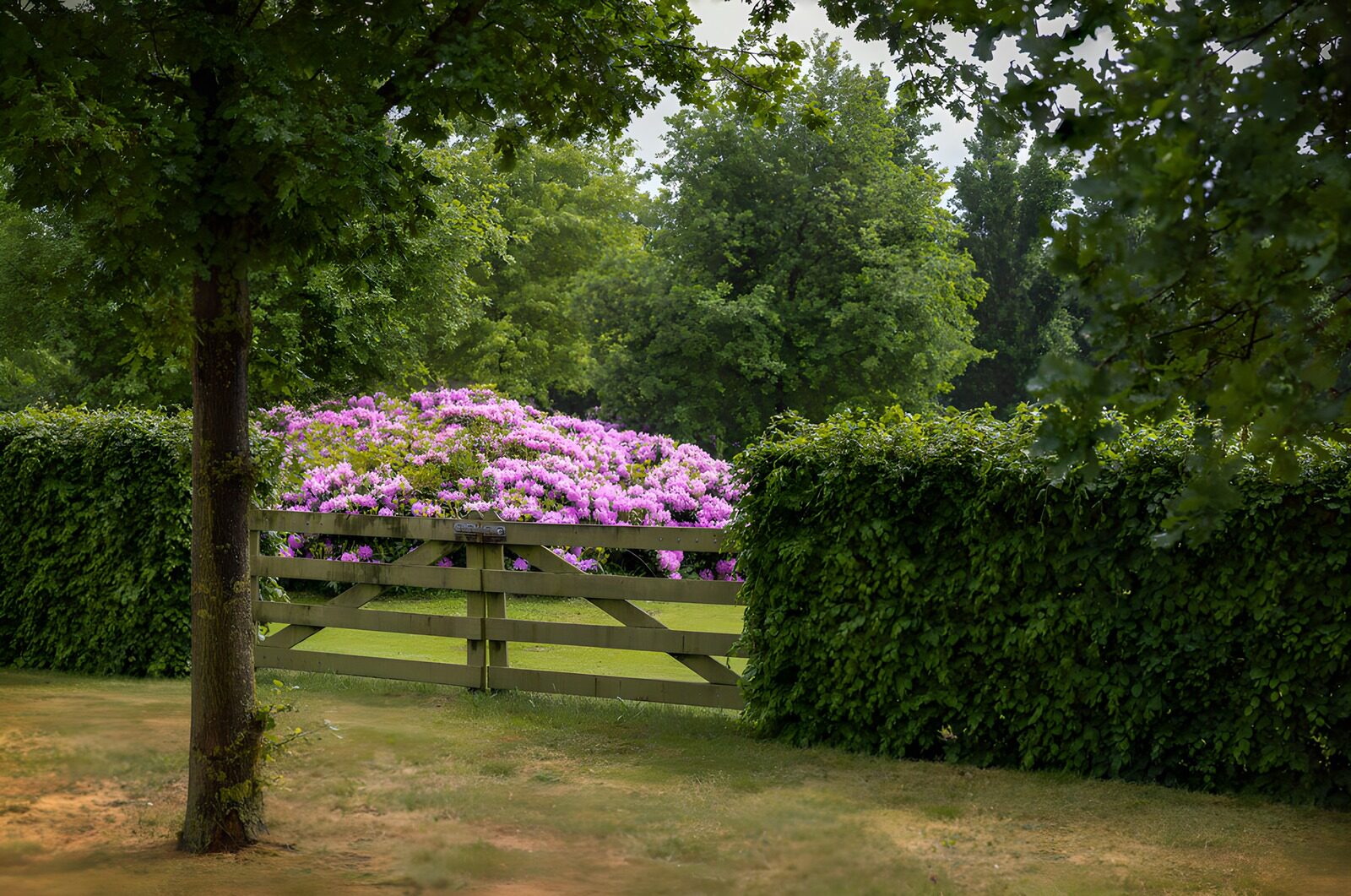 Enchanted Garden Gate