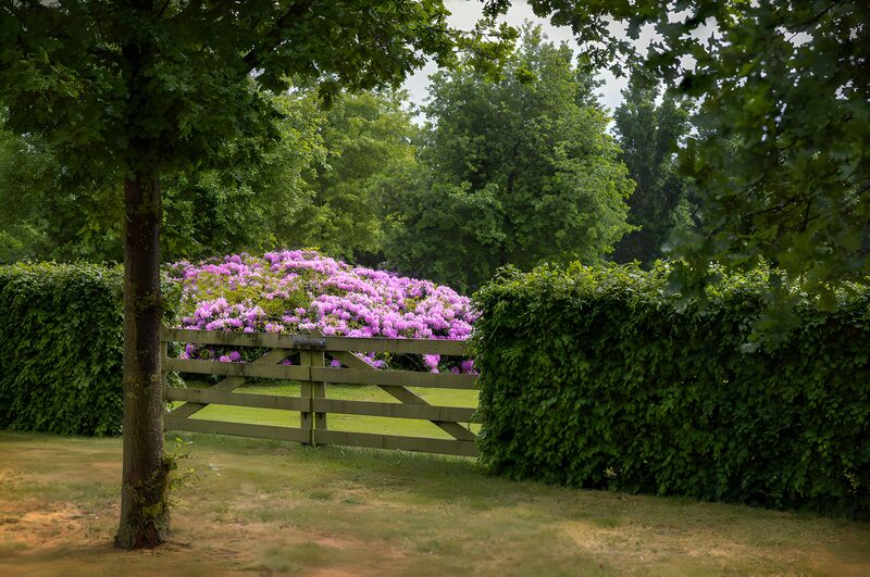 Enchanted Garden Gate