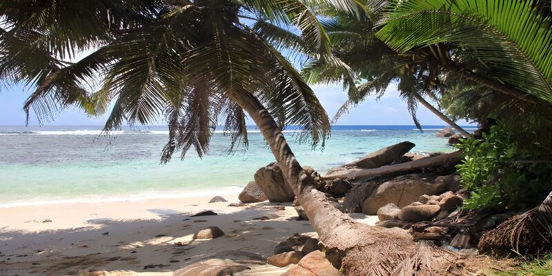 Tropical Beach Paradise