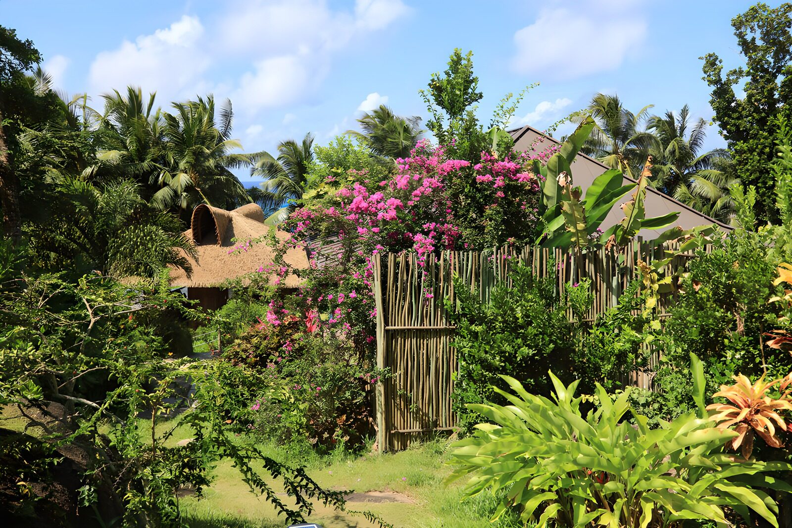 Tropical Oasis with Vibrant Flora