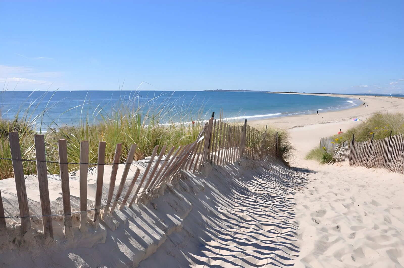 Serene Beach Pathway