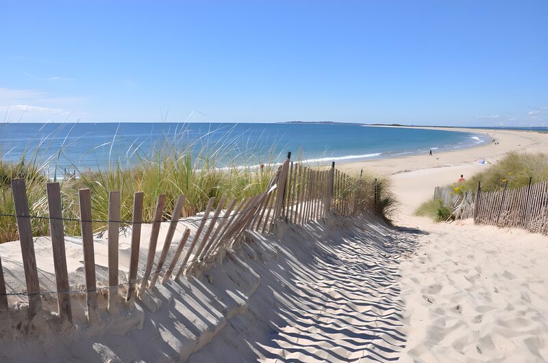 Serene Beach Pathway