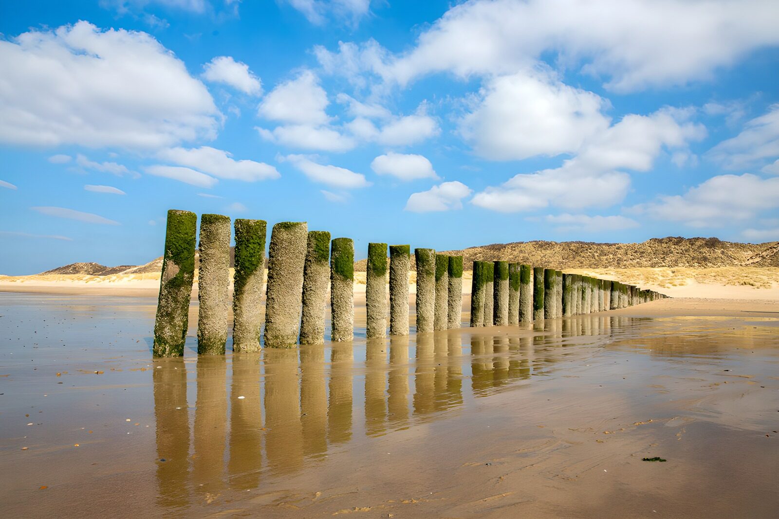 Coastal Reflections: Seaside Pillars