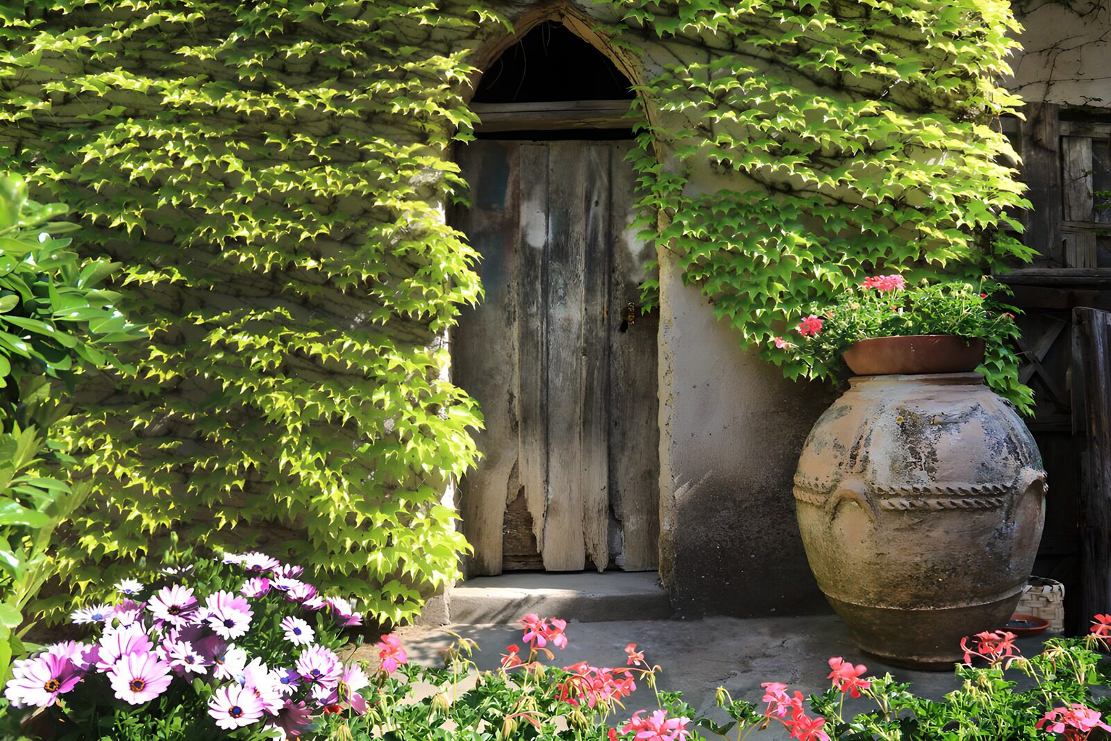 Tranquil Garden Entrance