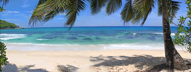 Tropical Paradise Beach View