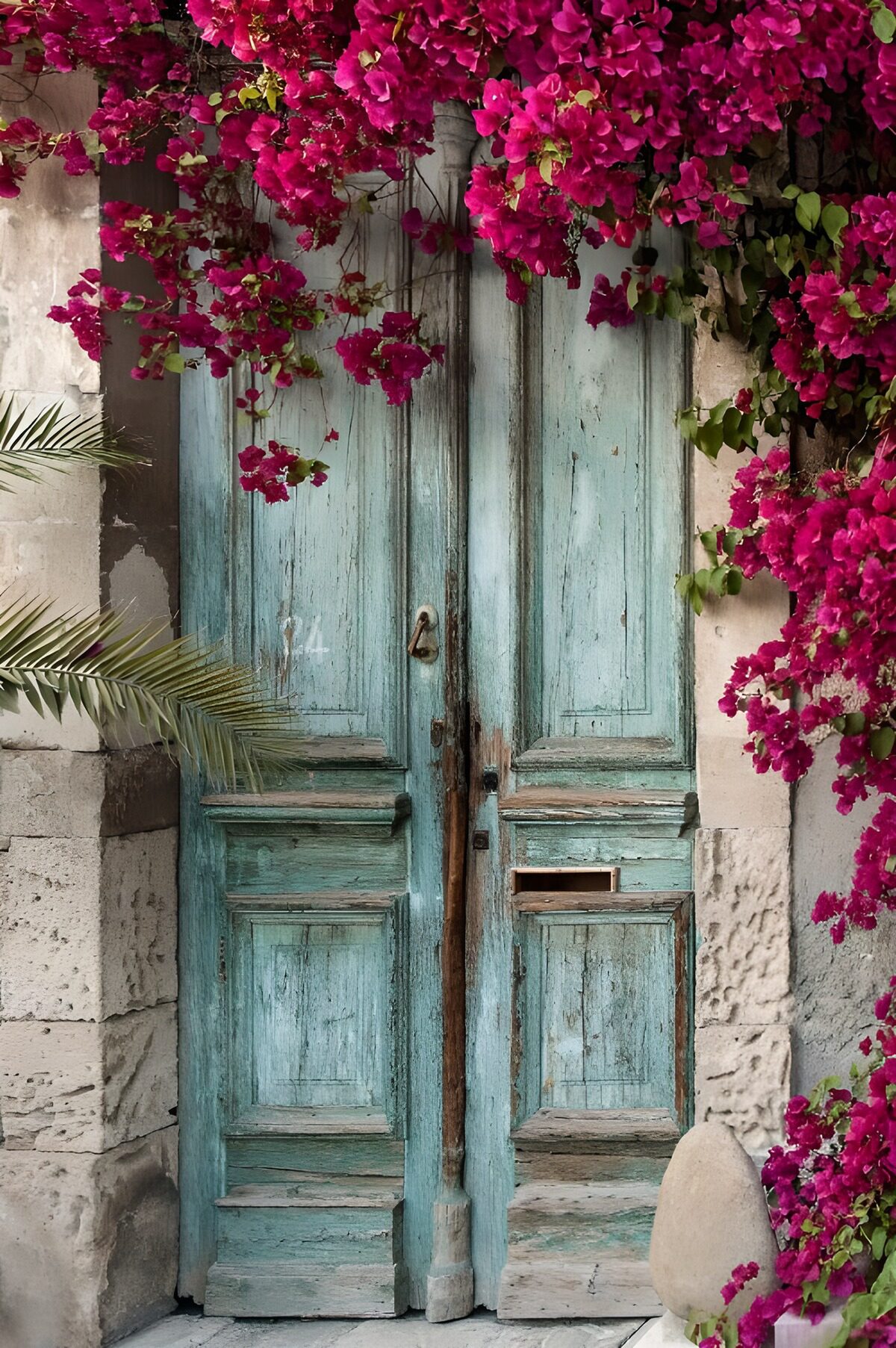Enchanted Rustic Doorway with Bougainvillea