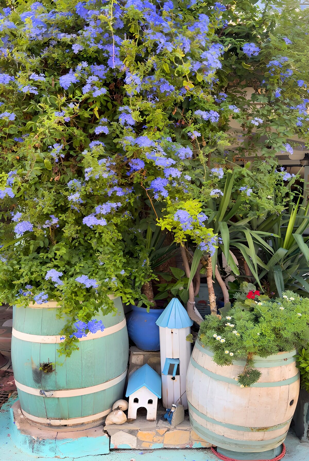 Enchanted Floral Oasis
