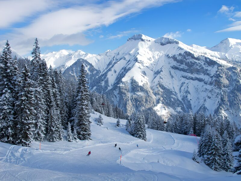 Winter Wonderland: Skiing Adventure