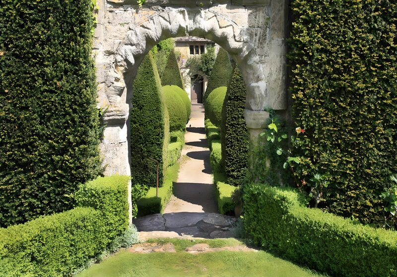 Tranquil Garden Pathway