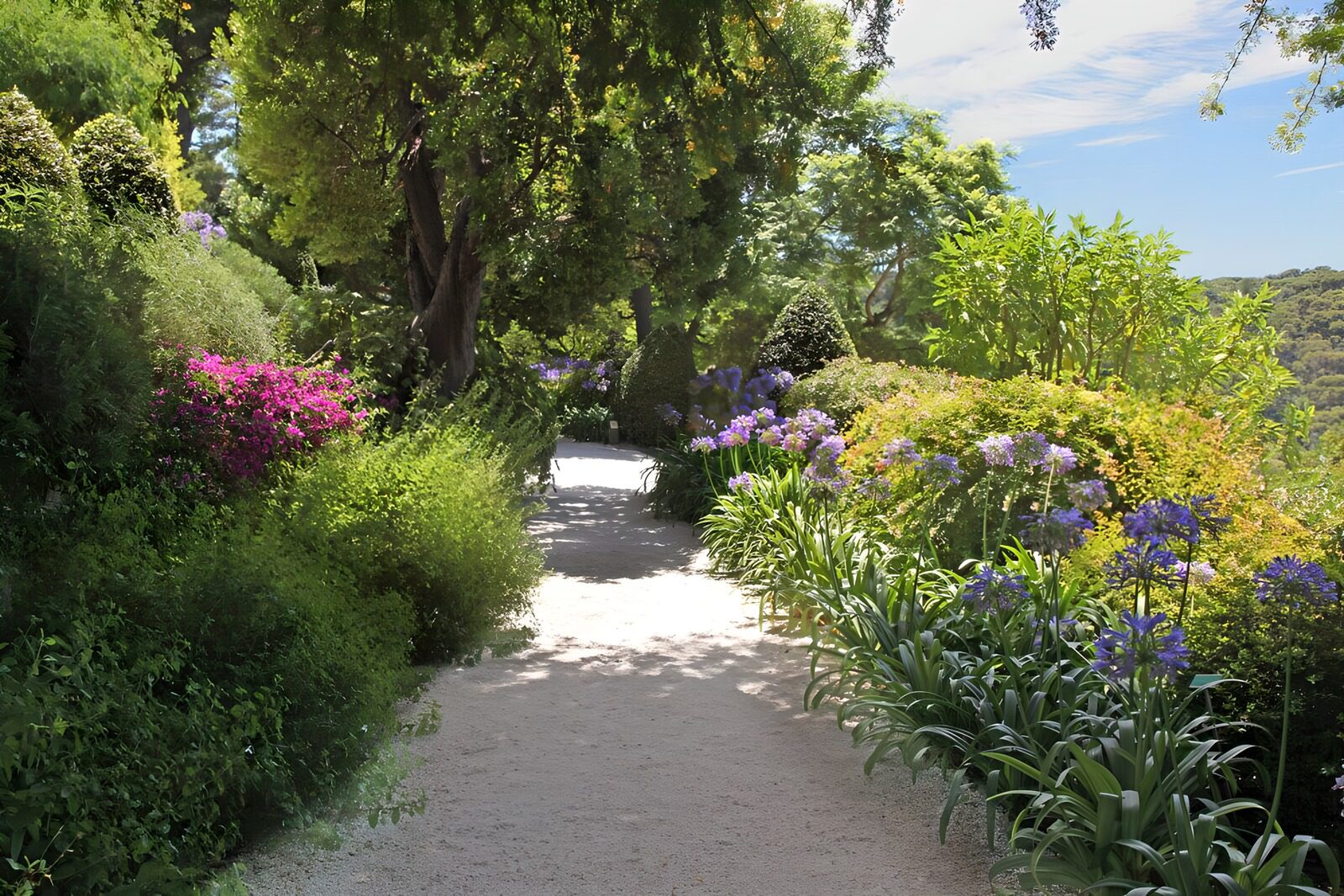 Serene Garden Pathway